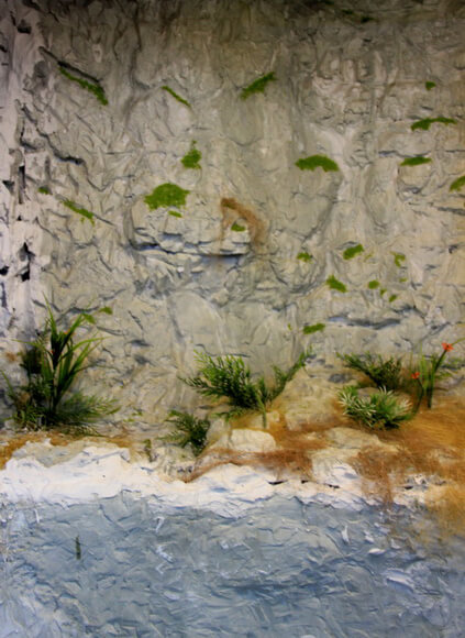 Diorama d'habitat rocheux