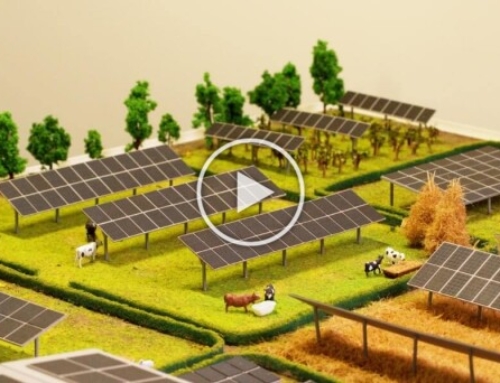 Photovoltaïque Agricole